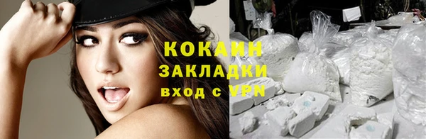 крисы Пересвет
