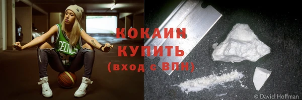 крисы Пересвет