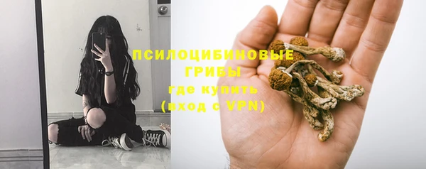 стаф Пестово