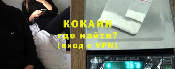 стаф Пестово