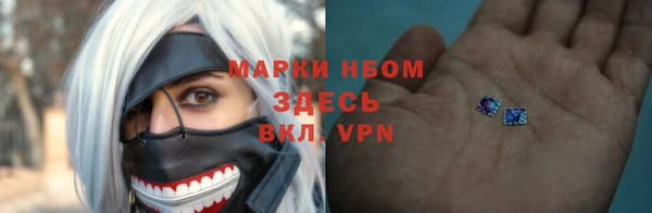 ГАЛЛЮЦИНОГЕННЫЕ ГРИБЫ Кукмор