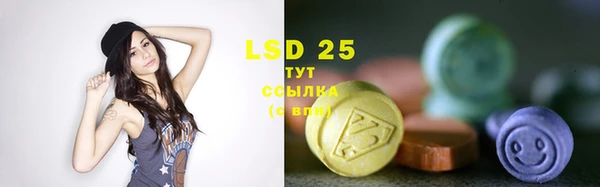 крисы Пересвет