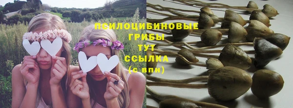 стаф Пестово