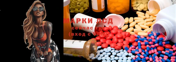 ГАЛЛЮЦИНОГЕННЫЕ ГРИБЫ Кукмор