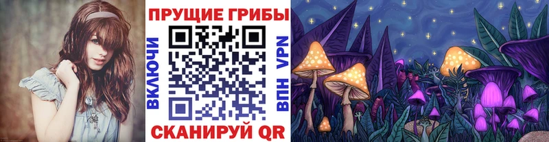 Галлюциногенные грибы Cubensis  купить наркоту  блэк спрут рабочий сайт  Льгов 